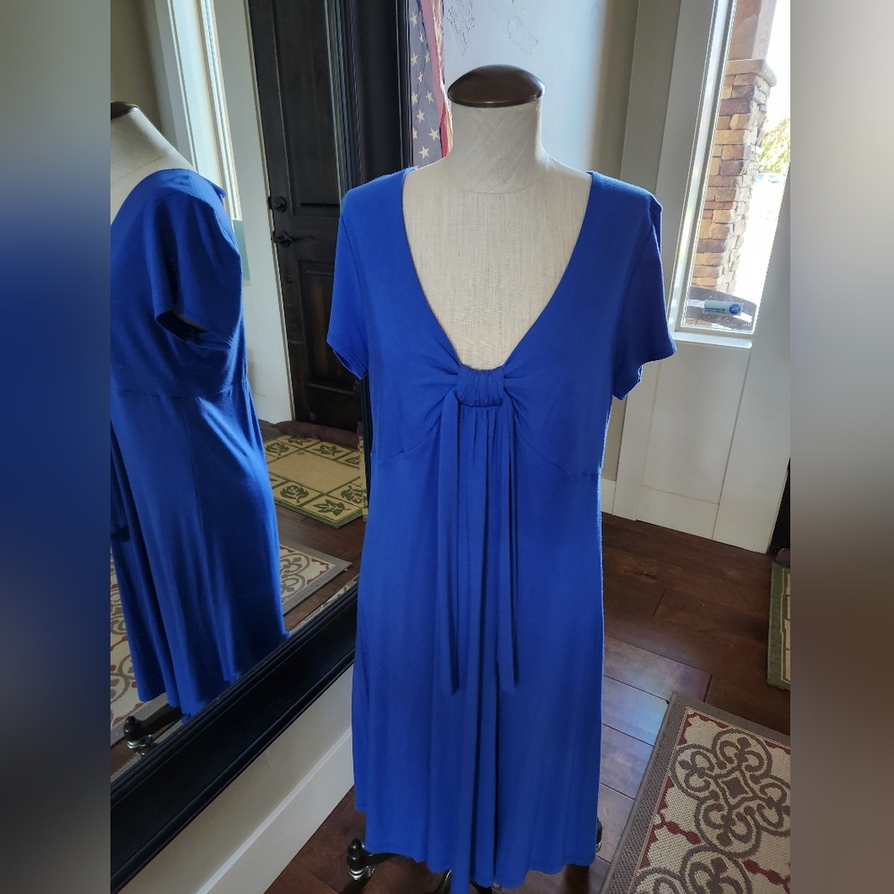DKNY by Donna Karan Matte Jersey V Neck Short Sleeve Fit and Flare Dress